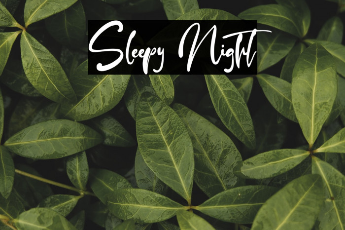 Sleepy Night Example 1