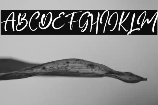 SleepyNight Font examples