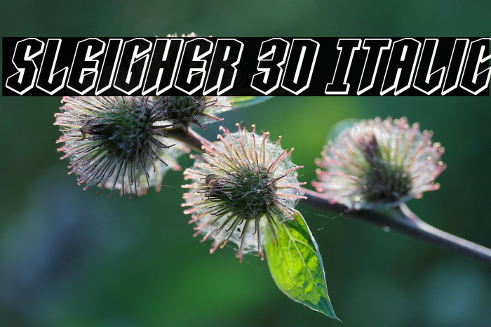 Sleigher 3D Italic Example 1