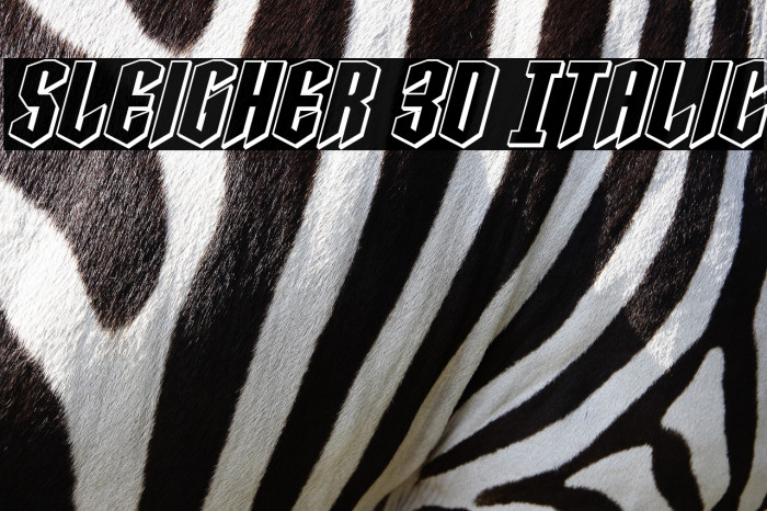 Sleigher 3D Italic Example 2