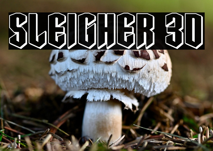 Sleigher 3D Example 1