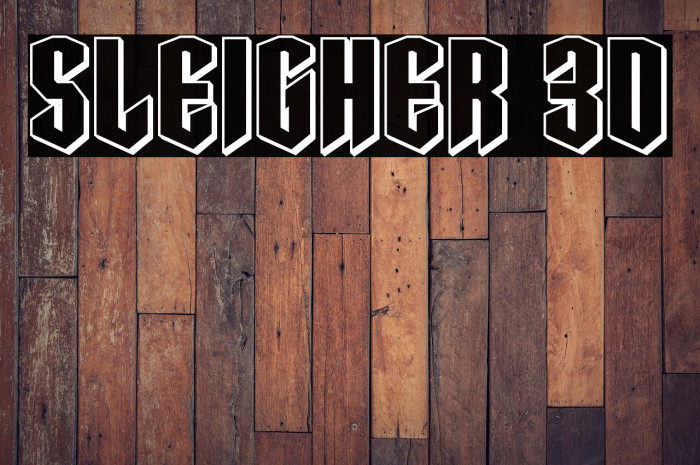 Sleigher 3D Example 2