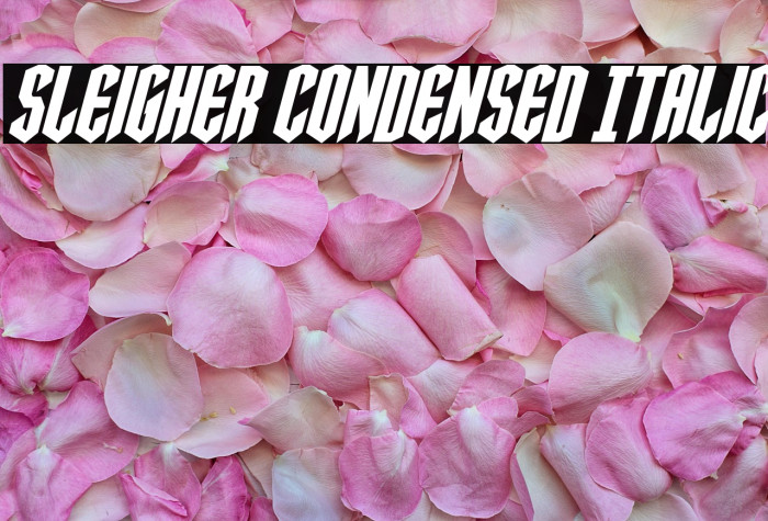 Sleigher Condensed Italic Example 3