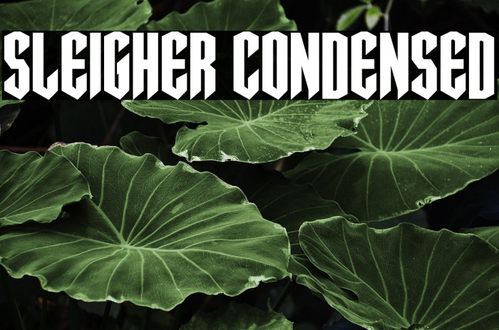 Sleigher Condensed Example 2