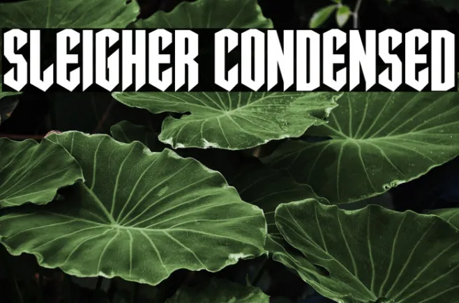 Sleigher Condensed Example 2