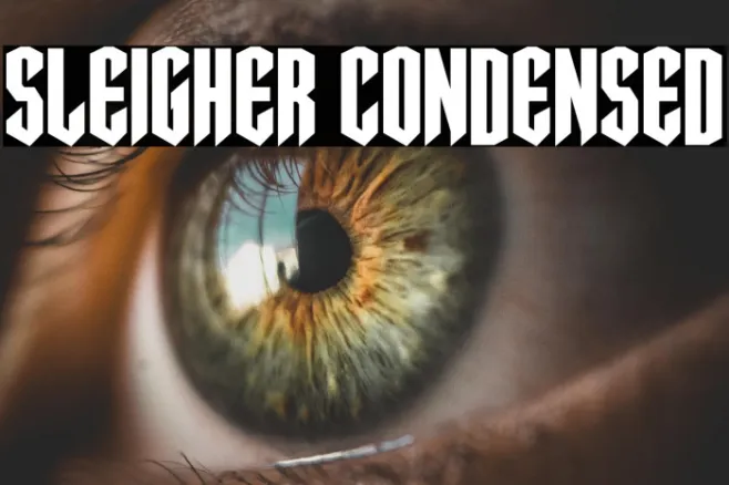Sleigher Condensed Example 3