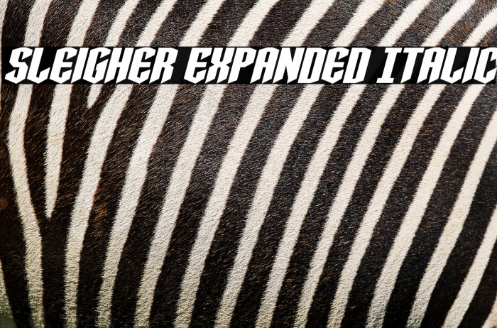 Sleigher Expanded Italic Example 1