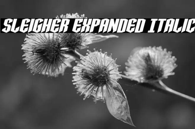 Sleigher Expanded Italic Font examples