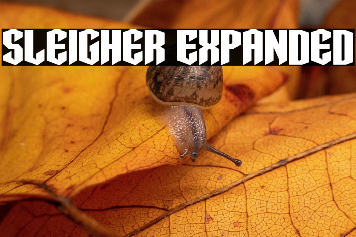 Sleigher Expanded Example 1