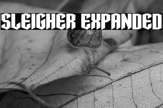 Sleigher Expanded Font examples