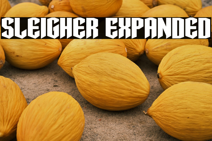 Sleigher Expanded Example 2