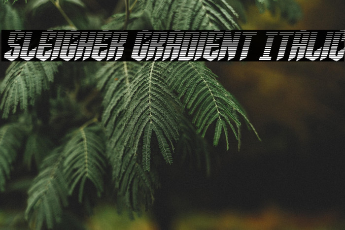 Sleigher Gradient Italic Example 2