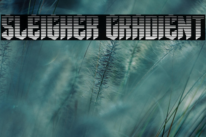 Sleigher Gradient Example 1