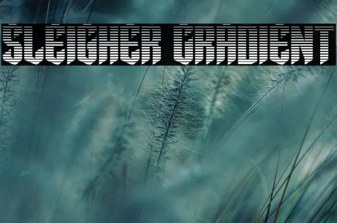 Sleigher Gradient Example 1