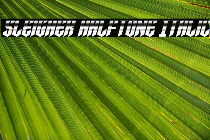 Sleigher Halftone Italic Example 1