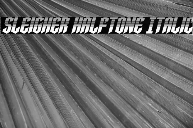 Sleigher Halftone Italic Font examples