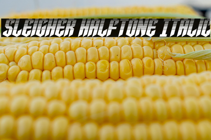 Sleigher Halftone Italic Example 2