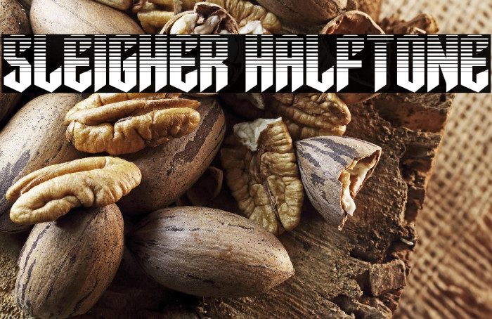 Sleigher Halftone Example 1