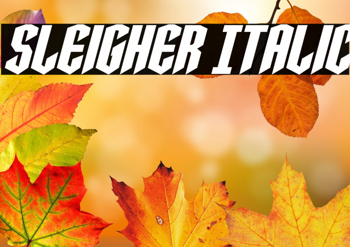 Sleigher Italic Example 1