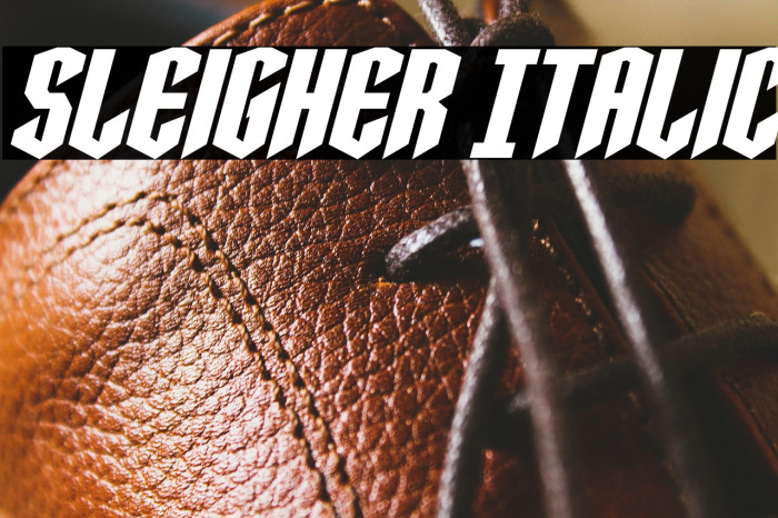 Sleigher Italic Example 2