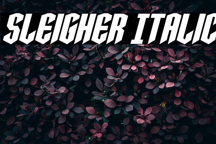 Sleigher Italic Example 3