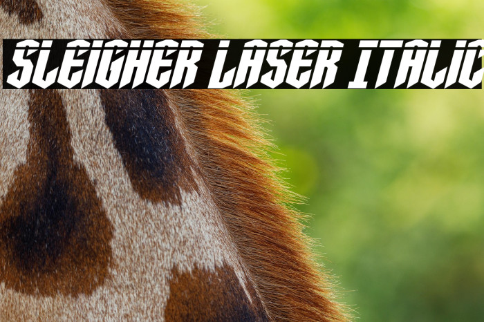 Sleigher Laser Italic Example 3