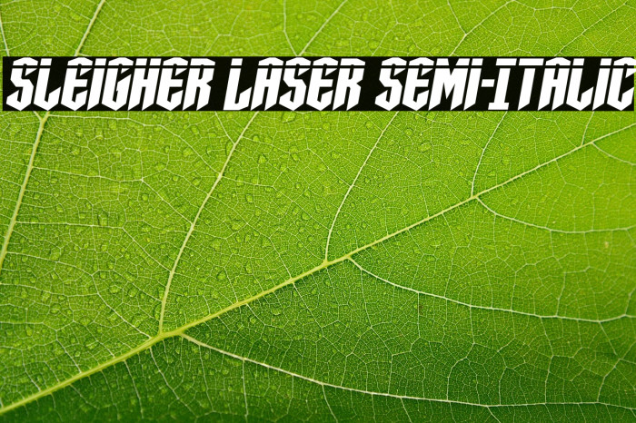 Sleigher Laser Semi-Italic Example 1