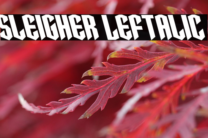 Sleigher Leftalic Example 3