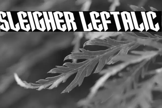 Sleigher Leftalic Font examples