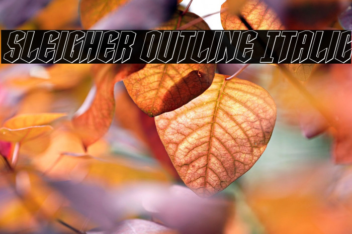 Sleigher Outline Italic Example 1