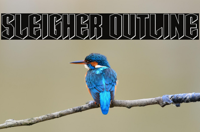 Sleigher Outline Example 1