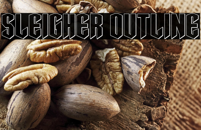 Sleigher Outline Example 3