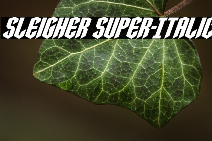 Sleigher Super-Italic Example 1
