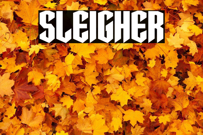 Sleigher Example 2