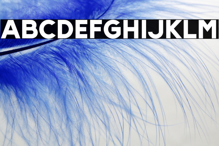 Slenco-Black Example 1