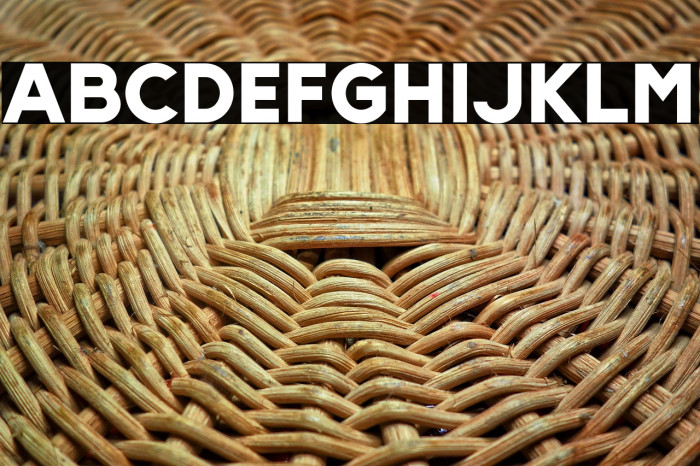 Slenco-Black Example 2