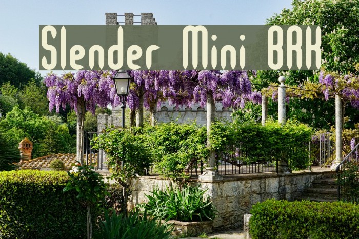 Slender Mini BRK Font examples