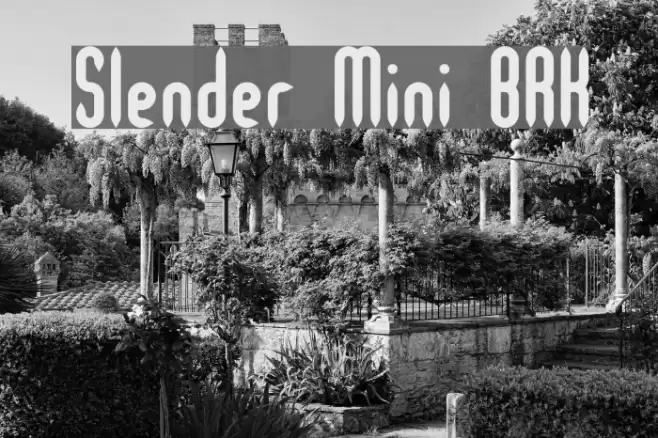 Slender Mini BRK Polices examples