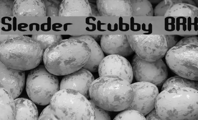 Slender Stubby BRK Font examples