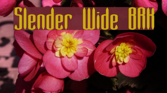 Slender Wide BRK Font examples