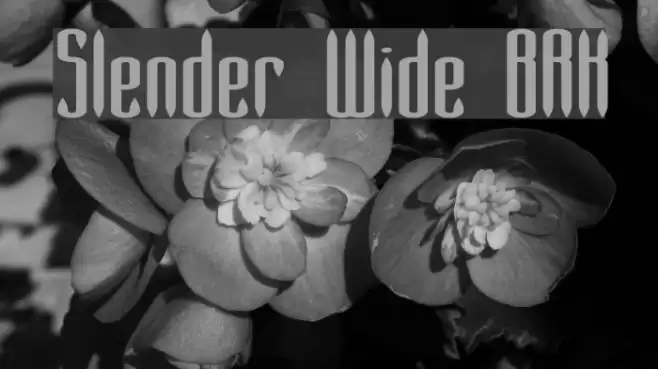 Slender Wide BRK Polices examples