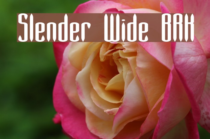 Slender Wide BRK Font examples