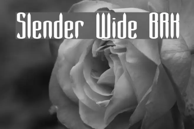 Slender Wide BRK Polices examples