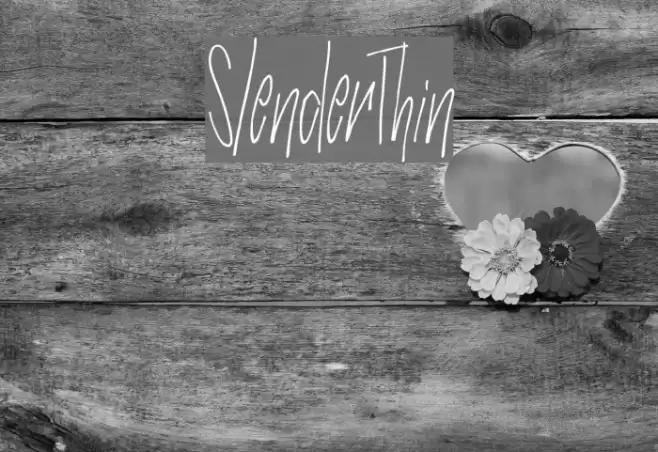 SlenderThin Шрифта examples