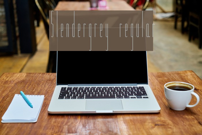 Slendergrey regular Example 2