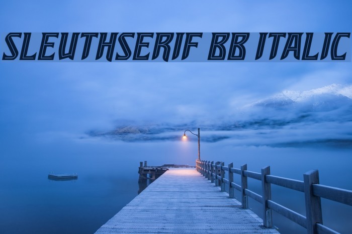 SleuthSerif BB Italic Font examples