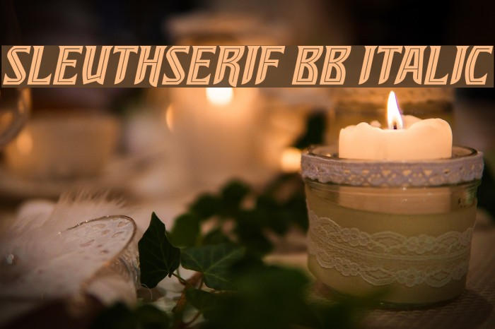 SleuthSerif BB Italic Font examples