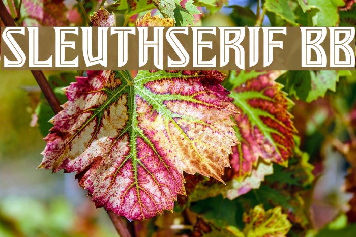 SleuthSerif BB Font examples
