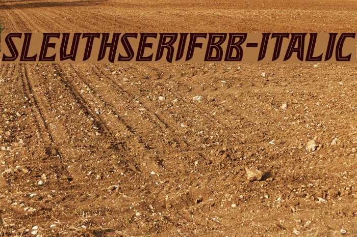 SleuthSerifBB-Italic Font examples