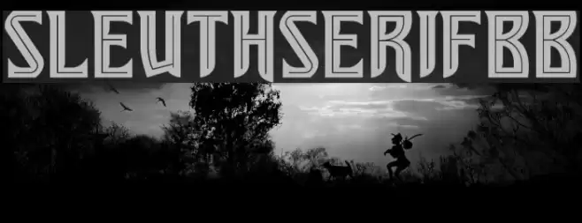 SleuthSerifBB Font examples